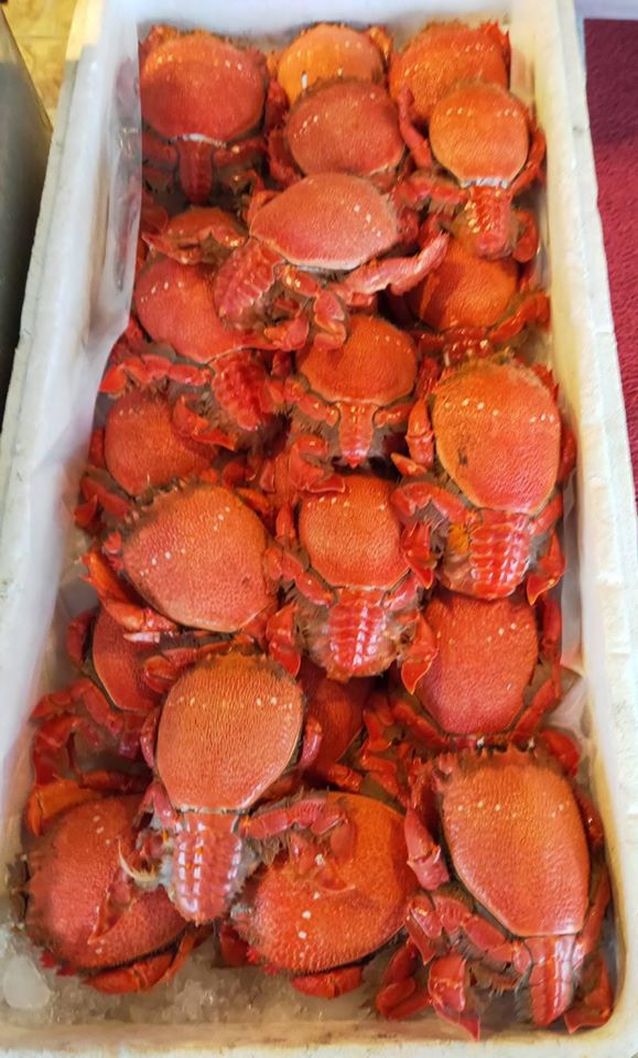 ​資深老船長補撈季節限定的『旭蟹』來啦!!的第2張圖片